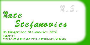 mate stefanovics business card